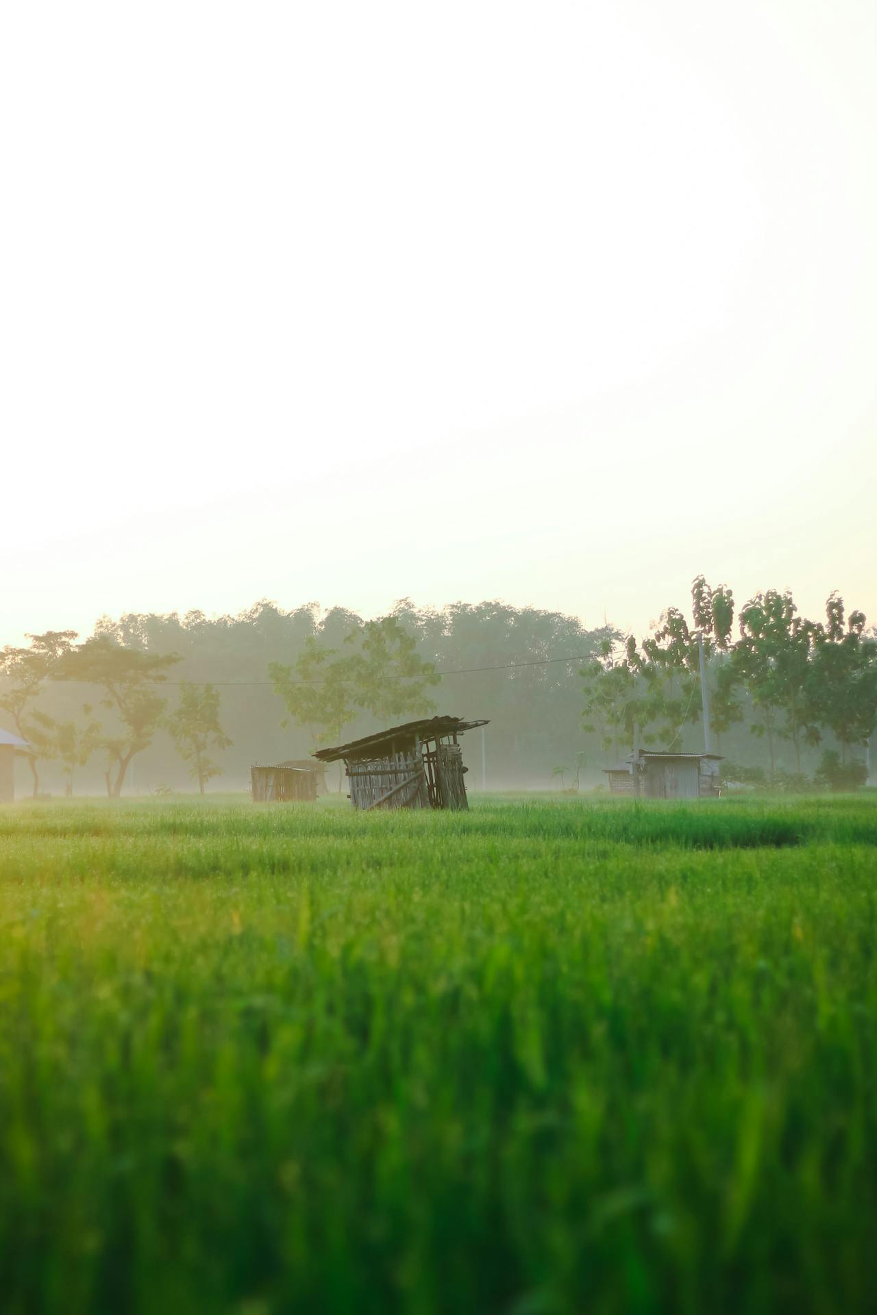 Embrace the vibrant spirit of Ha Tinh Travel adventures